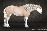 Horse Color:Liver Chestnut Pearl Mushroom Sabino Varnish Rabicano 