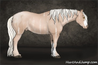 Horse Color:Liver Chestnut Ice Pearl Mushroom Appaloosa Rabicano 