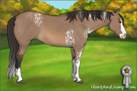 Horse Color:White Spotted Bay Dun Sabino Splash