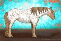 Horse Color:Chestnut Near Leopard 