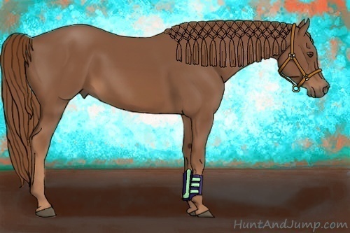 Horse Color: Chestnut 