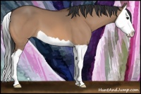 Horse Color:Bay Dun Splash 