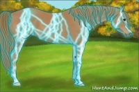 Horse Color:Thunderstruck Chestnut 