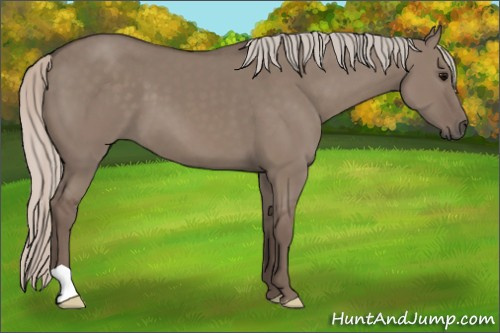 Horse Color: Silver Grullo 