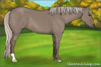Horse Color:Silver Grullo 