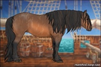 Horse Color:Bay  Brindle