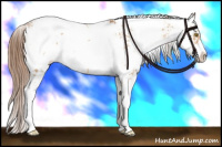 Horse Color:Brown Pearl Dun Sabino 