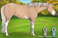 Horse Color:Silver Sable Champagne Sabino 