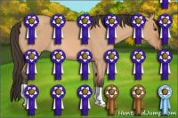 Horse Color:Bay Roan Dun 