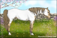 Horse Color:Buckskin Roan Near Fewspot 