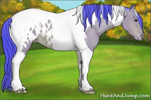Horse Color: Watercolor Bay Tobiano Near Leopard 