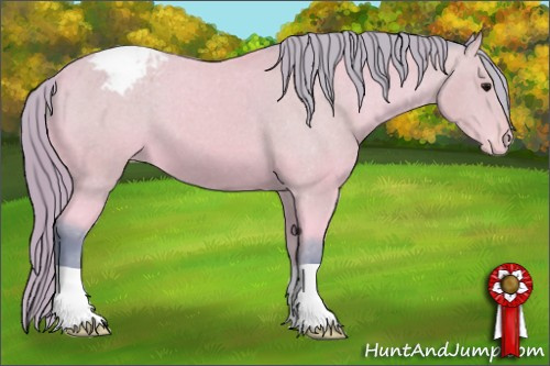 Horse Color: Watercolor Buckskin Snowcap 