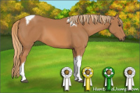 Horse Color:Chestnut Tobiano