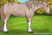 Horse Color:Chestnut Varnish 