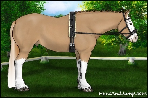 Horse Color: Red Roan Splash 