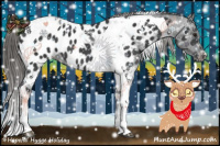 Horse Color:Black Tobiano Appaloosa 