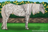 Horse Color:Chocolate Palomino Sabino Snowflake Varnish