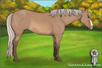 Horse Color:Silver Bay Dun Splash 