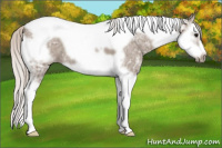 Horse Color:Silver Grullo Ice Splash Tobiano Frame 