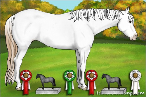 Horse Color: Unknown 