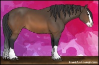 Horse Color:Brown Sabino Splash 