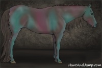 Horse Color:Smoky Black 