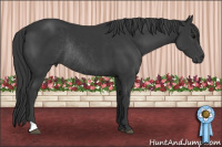 Horse Color:Brown Rabicano 