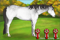 Horse Color:White Spotted Smoky Black