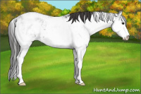 Horse Color:Smoky Black Ice Sabino 