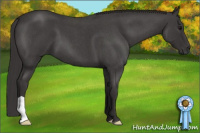 Horse Color:Smoky Blue Roan 