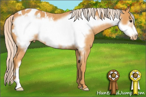 Horse Color: Chocolate Palomino Mushroom Frame Blanket Rabicano 