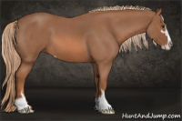 Horse Color:Liver Red Roan Sabino 