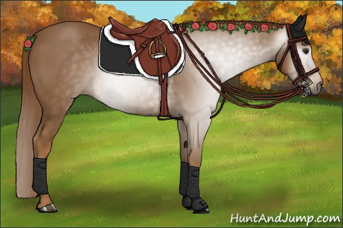 Horse Color:Gray Chestnut