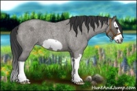 Horse Color:Grullo Roan Splash Frame