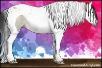 Horse Color:Gray Bay Ice Dun Splash Tobiano