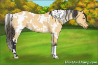 Horse Color:White Spotted Buckskin Dun 