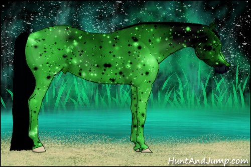 Horse Color: ERROR: UNKNOWN ANOMALY