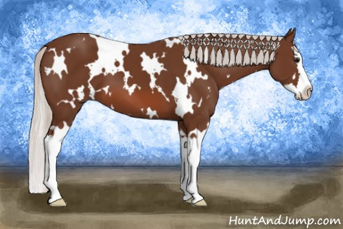 Horse Color: White Spotted Silver Bay Splash 