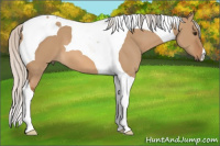 Horse Color:Silver Bay Dun Tobiano