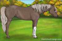 Horse Color:Silver Black 