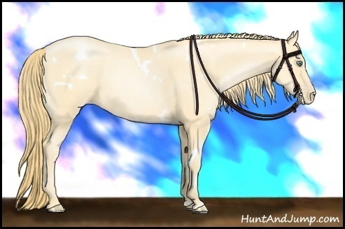 Horse Color:White Spotted Smoky Black Pearl Sabino