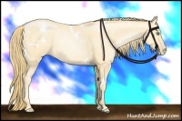 Horse Color:White Spotted Smoky Black Pearl Sabino 