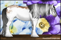 Horse Color:Gray Bay Splash Frame 