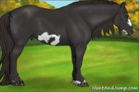 Horse Color:Liver Chestnut Frame 