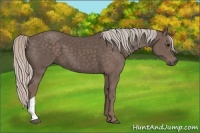 Horse Color:Silver Black 