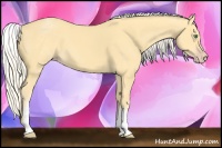Horse Color:White Spotted Gold Cream Champagne 