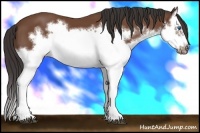 Horse Color:Bay Splash Frame