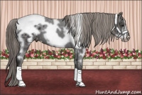 Horse Color:White Spotted Smoky Black Frame Blanket 