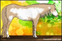 Horse Color:Red Dun Frame 