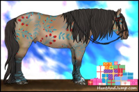 Horse Color:Bay Dun Sabino 